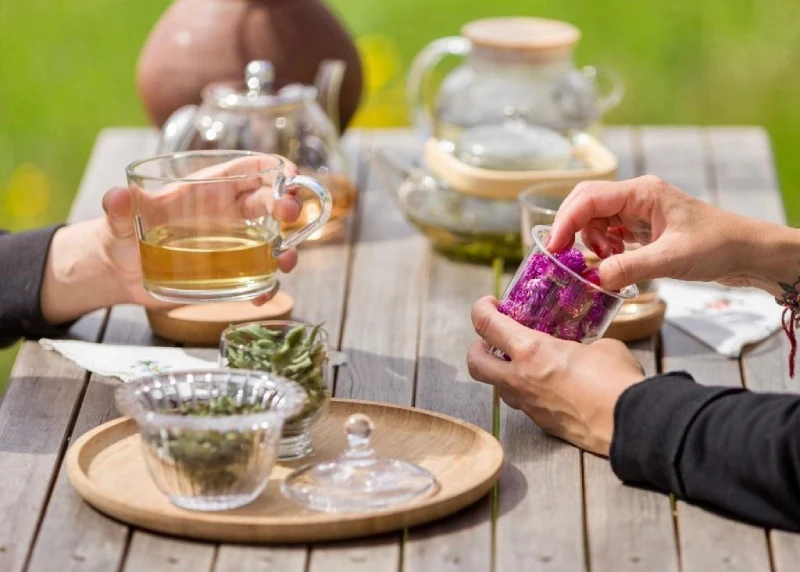 Image d'une consultation naturopathique avec des plantes et des herbes