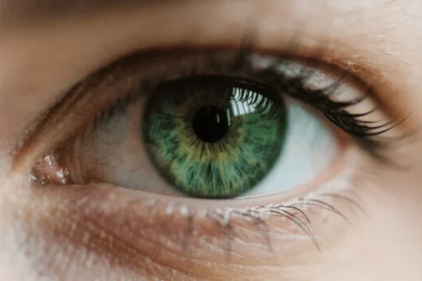 Image d'un oeil vert